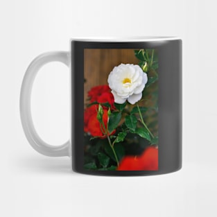 A Garden in Italy Mug